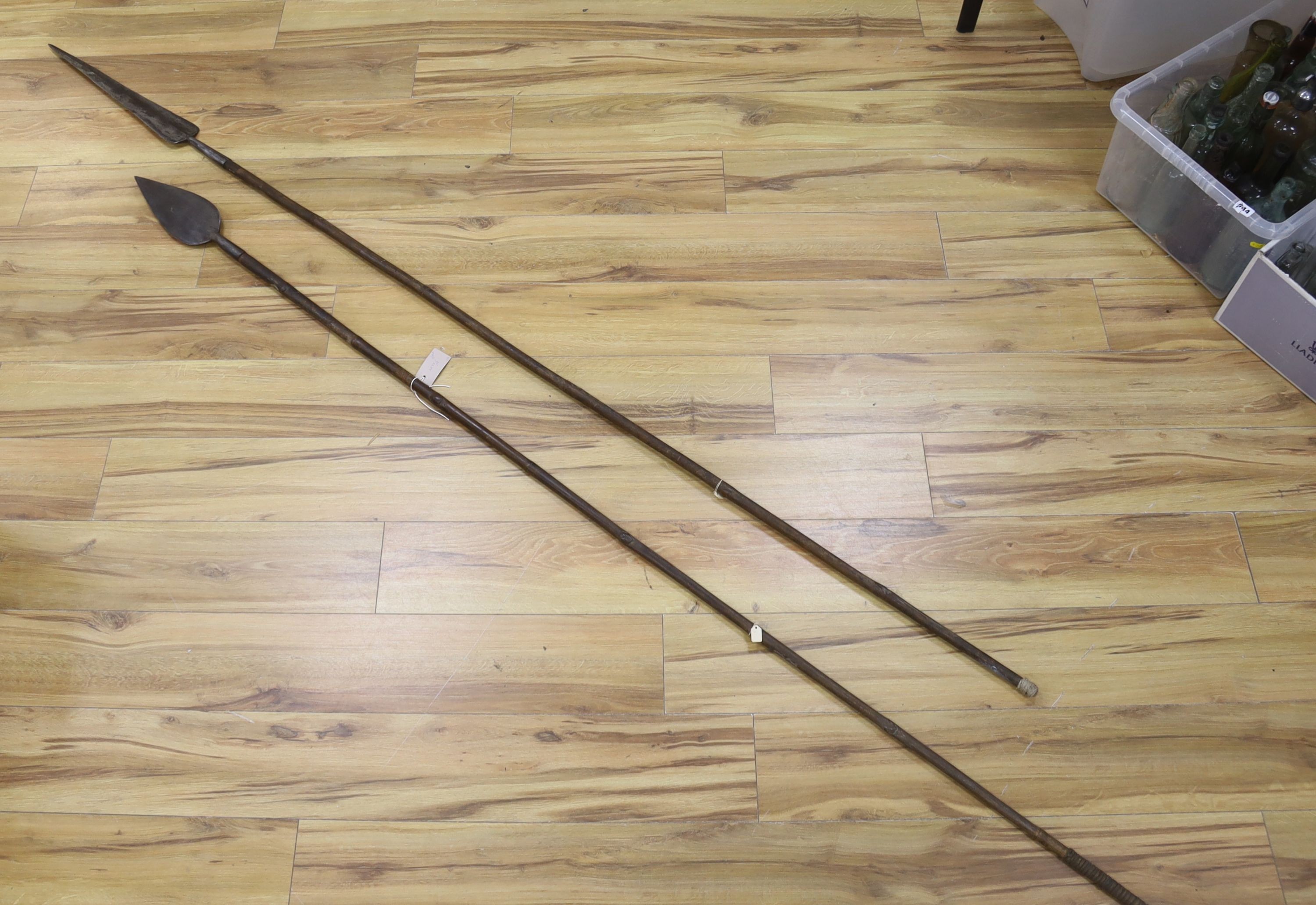 Two East Africa, Transvaal (Zululand) spears, 236cm